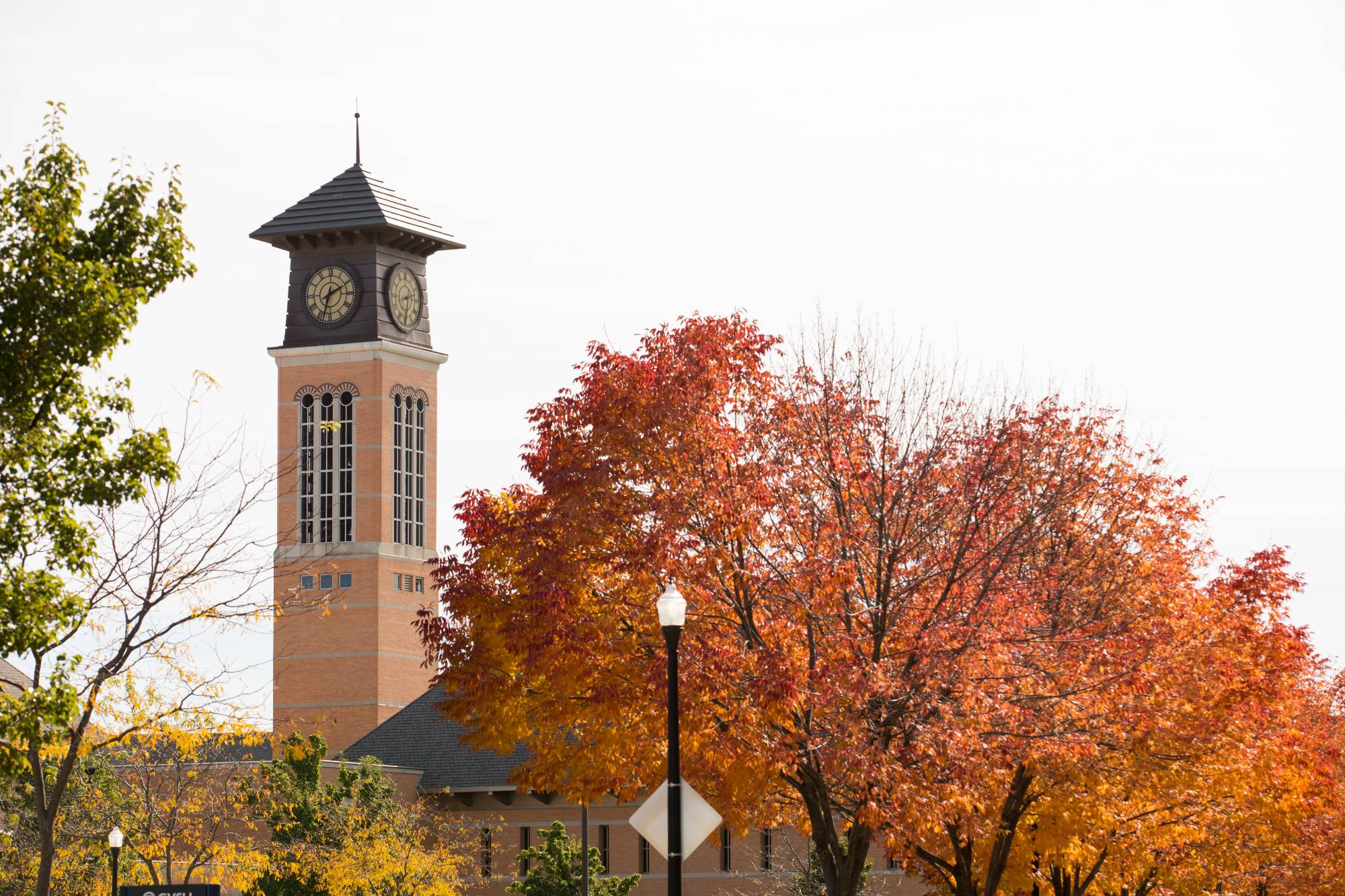 orange and yellow trees with clocktower and blue skies in the background